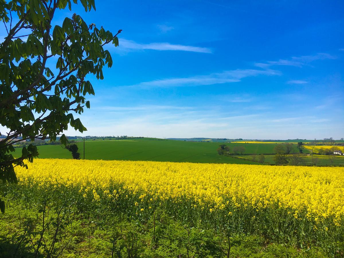 Отель Sutton Vale Дил Экстерьер фото